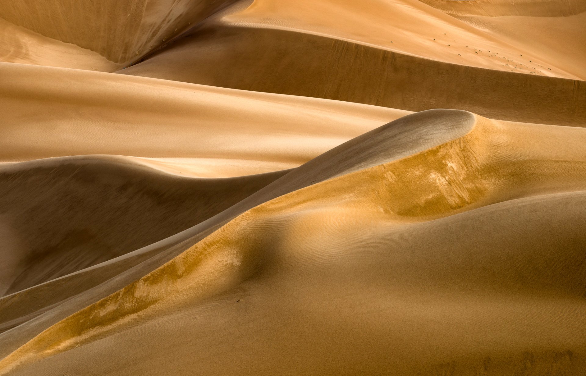 désert sable barkhan