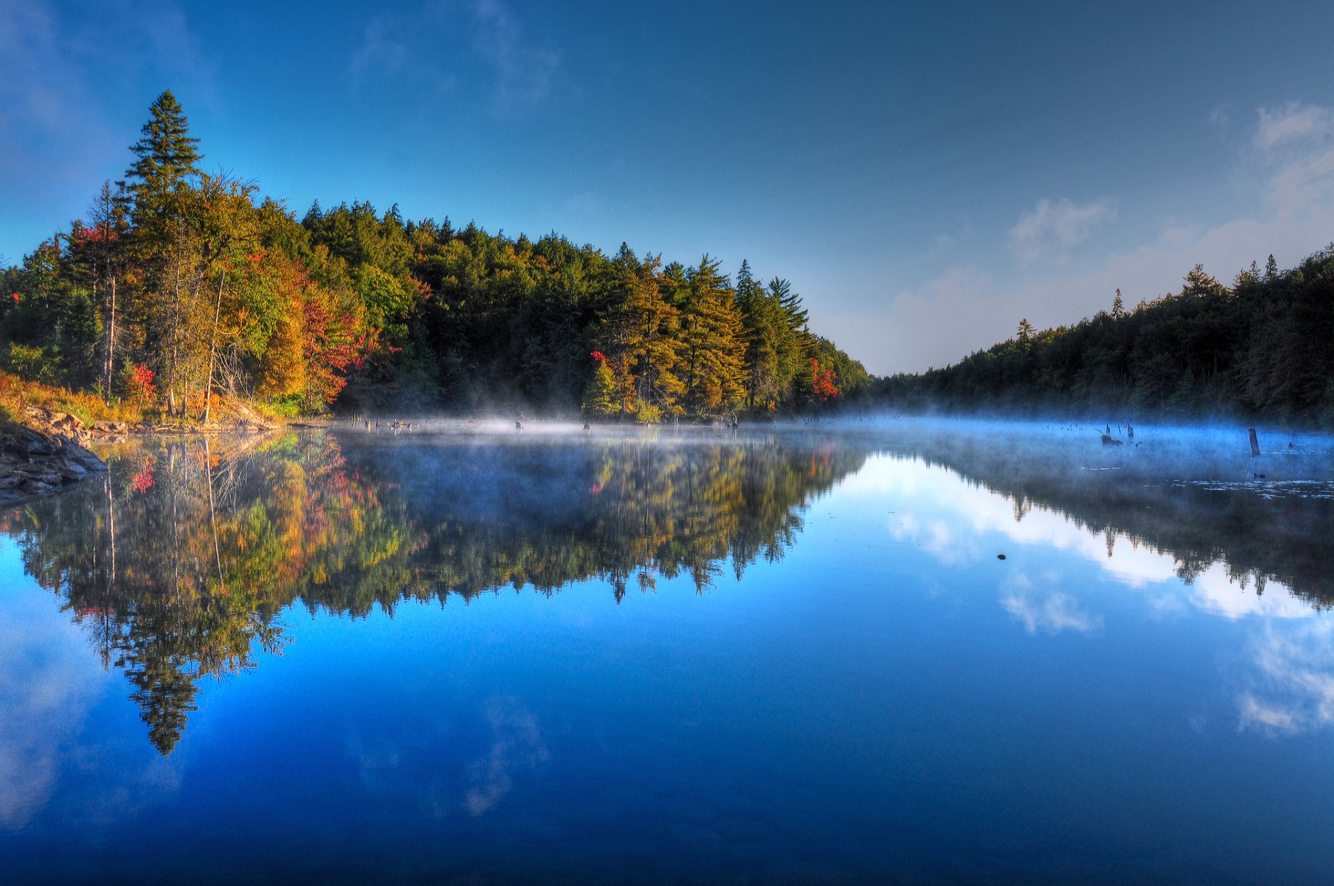 himmel morgen nebel wald bäume see herbst