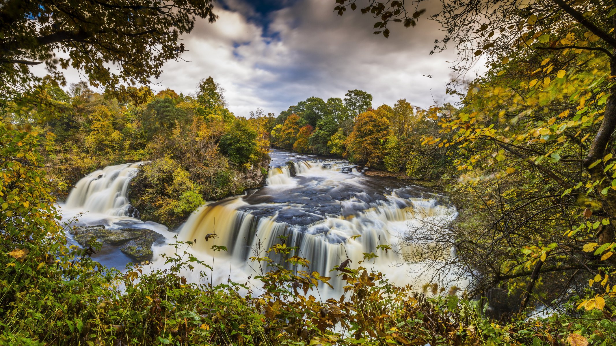 scozia clyde valley forest autunno foresta fiume corrente cascata cascata rocce alberi rami foglie