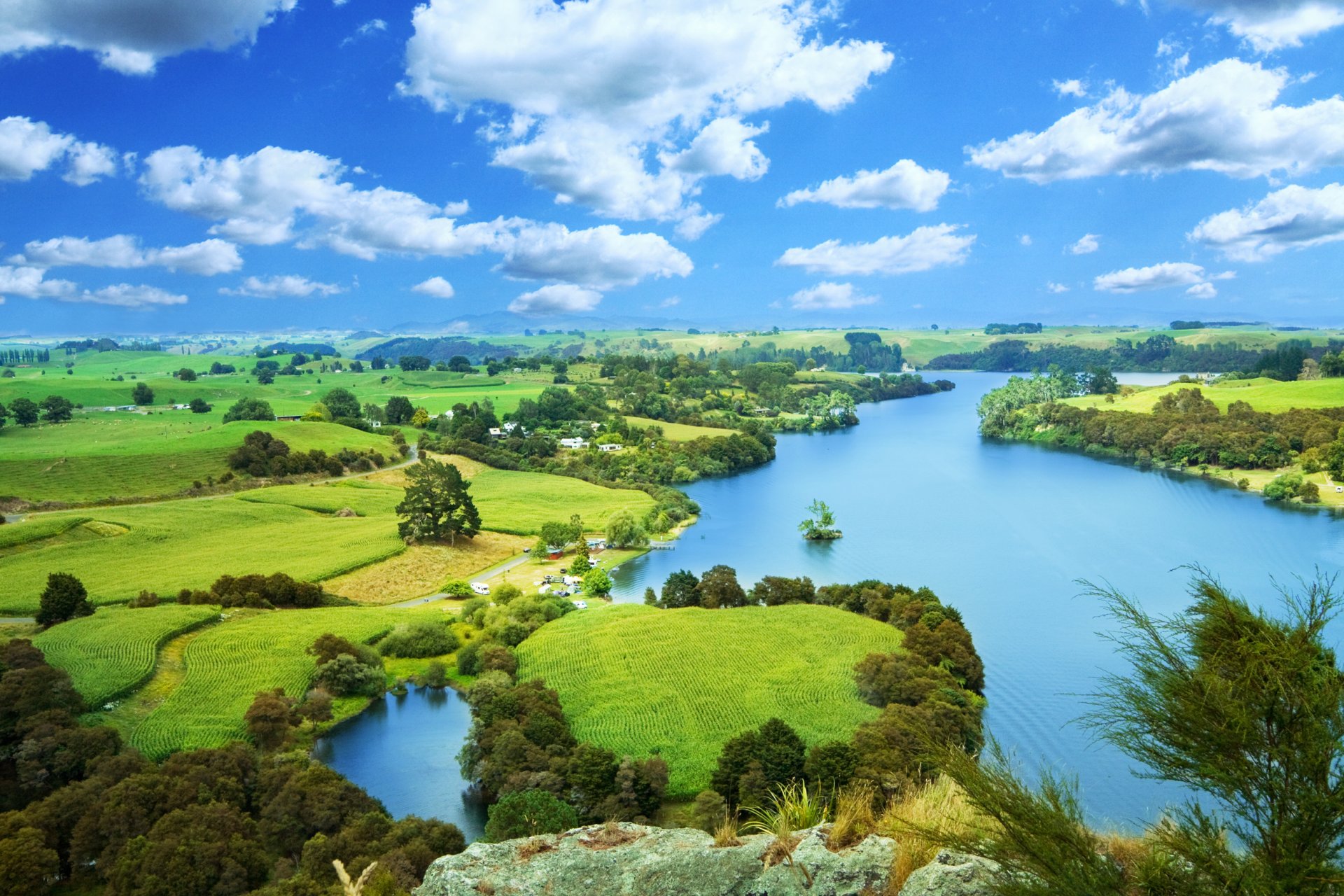 nature trees houses river landscape