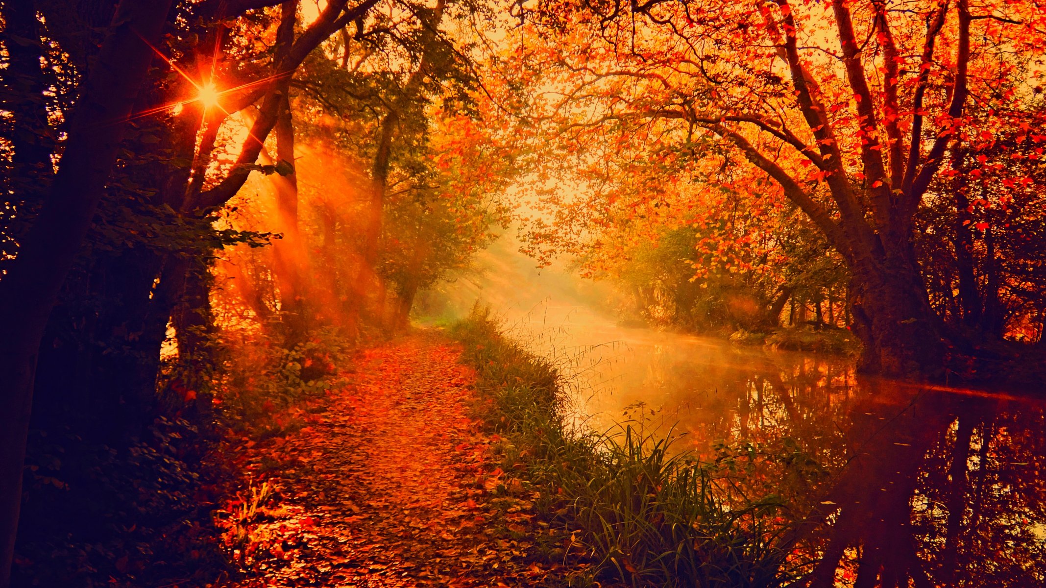 natura niebo rzeka woda las park drzewa liście kolorowe jesień upadek kolory spacer góry