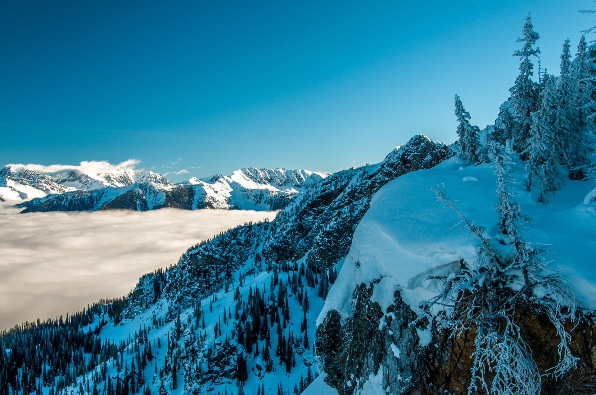 cielo montagne nebbia inverno neve alberi