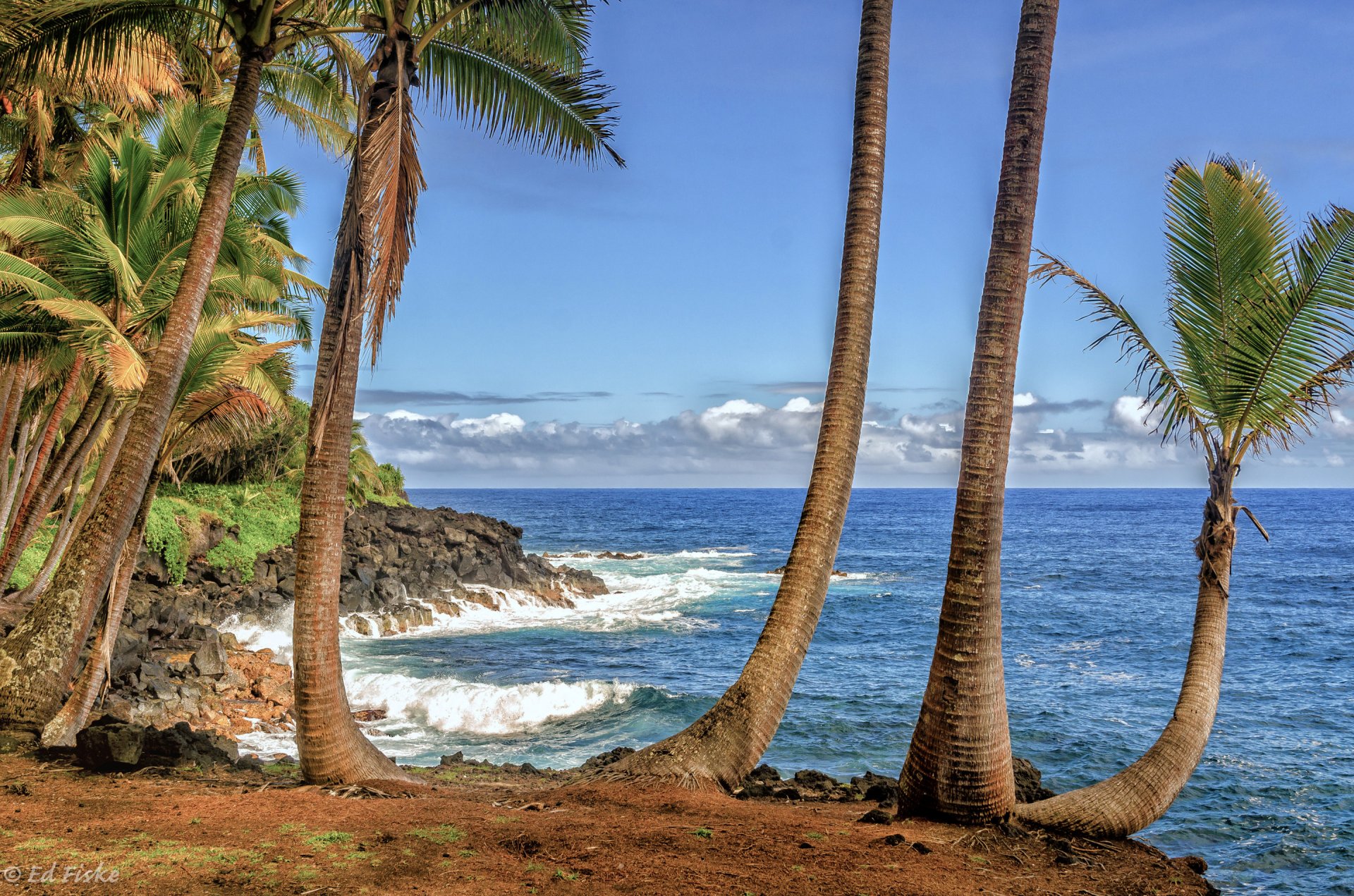 hawaii estados unidos cielo nubes mar costa palmeras