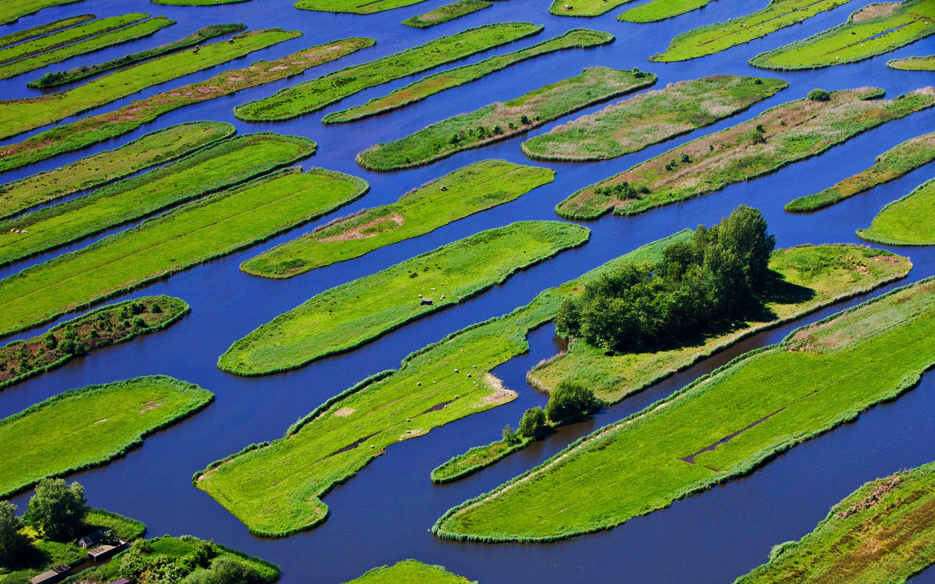 netherlands water trees island gra