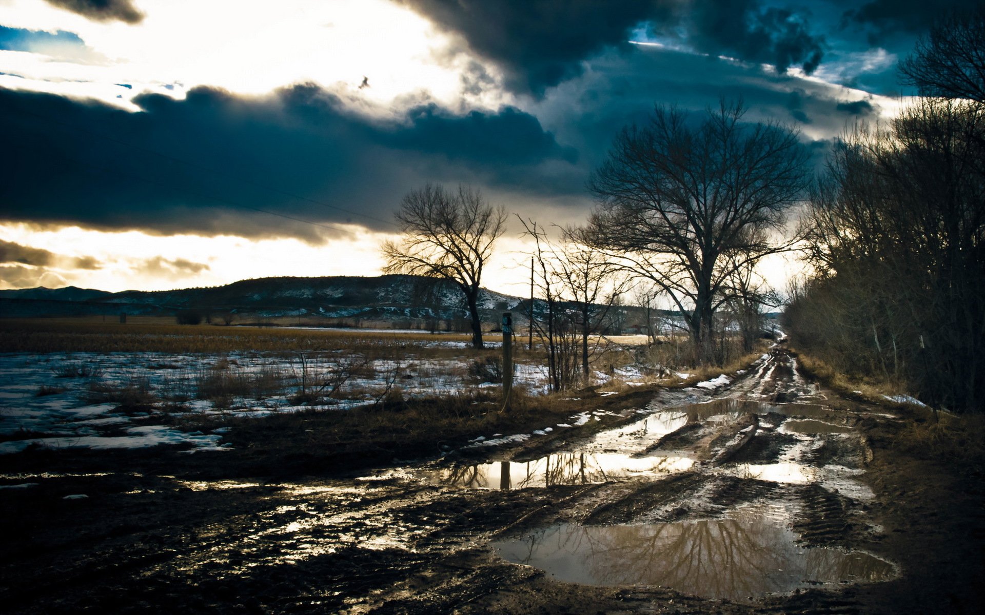 printemps matin route paysage