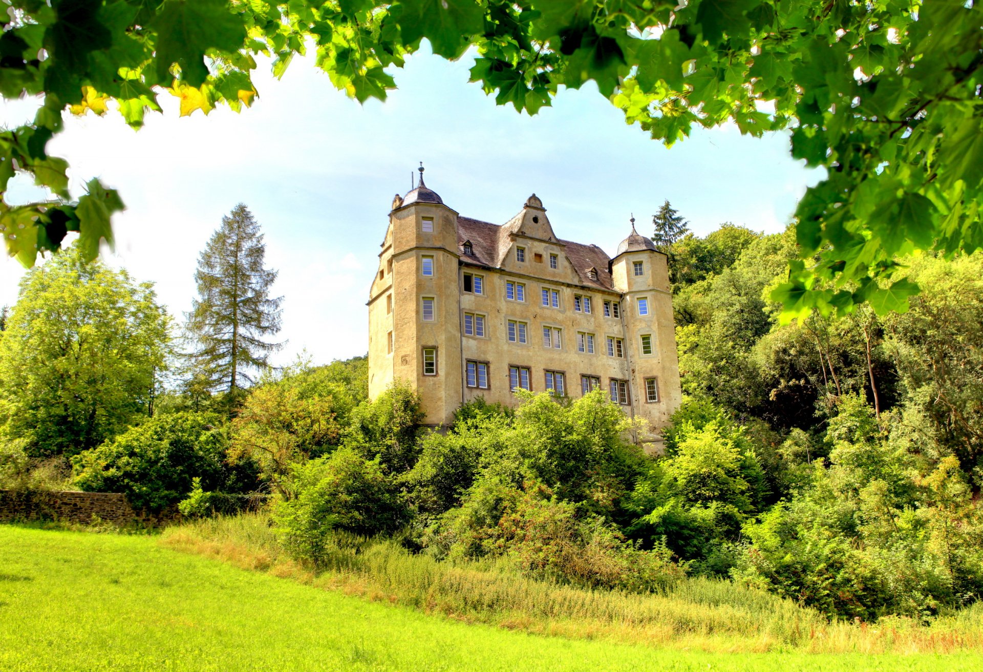 germania castello verde erba cespugli alberi rami fogliame