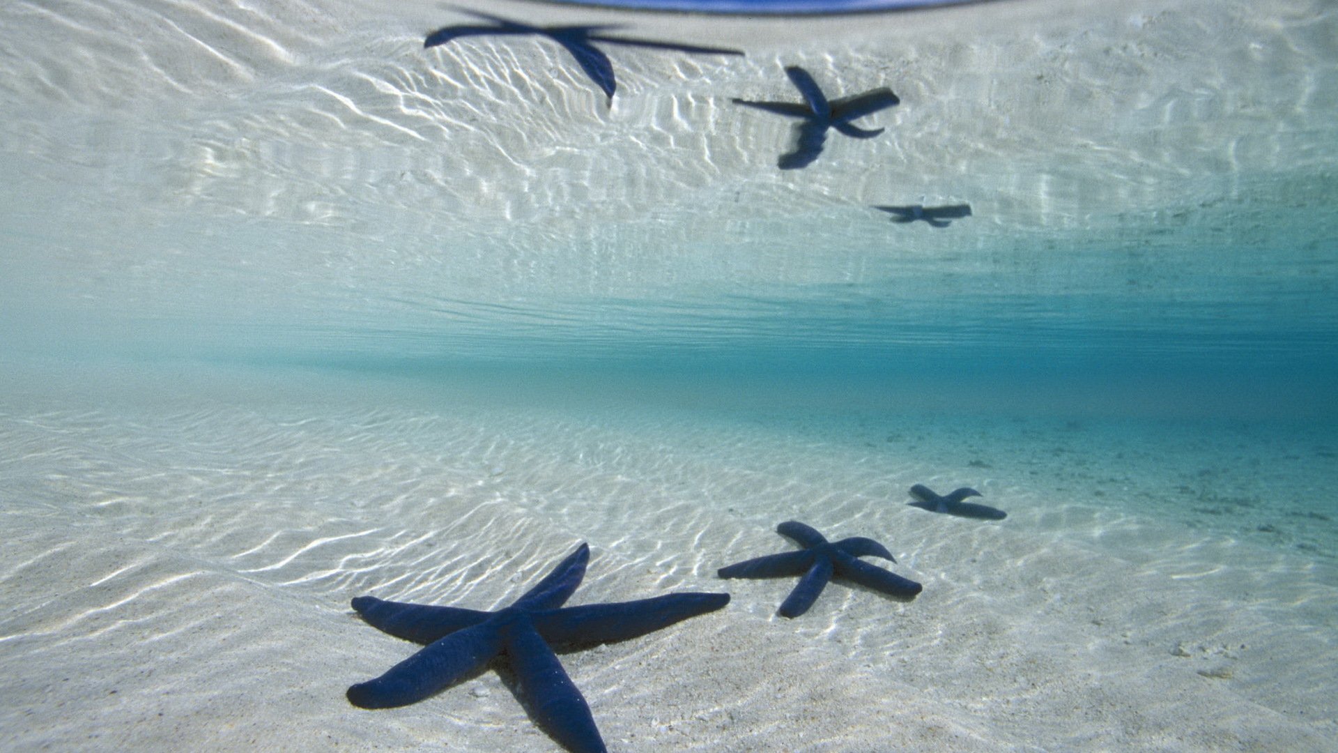 oceano acqua fondo sabbia