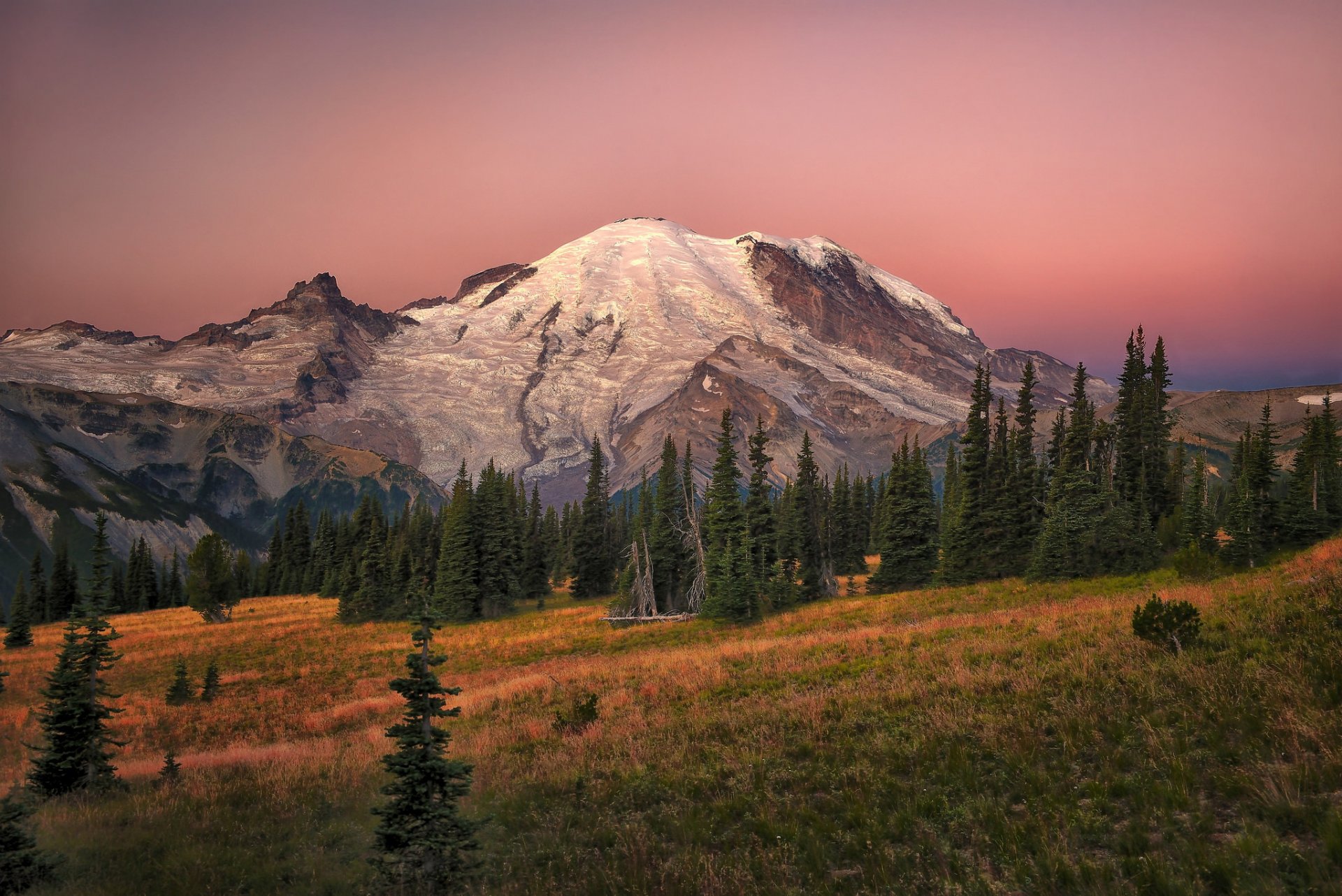 night mountain snow slope grass tree autumn spruce