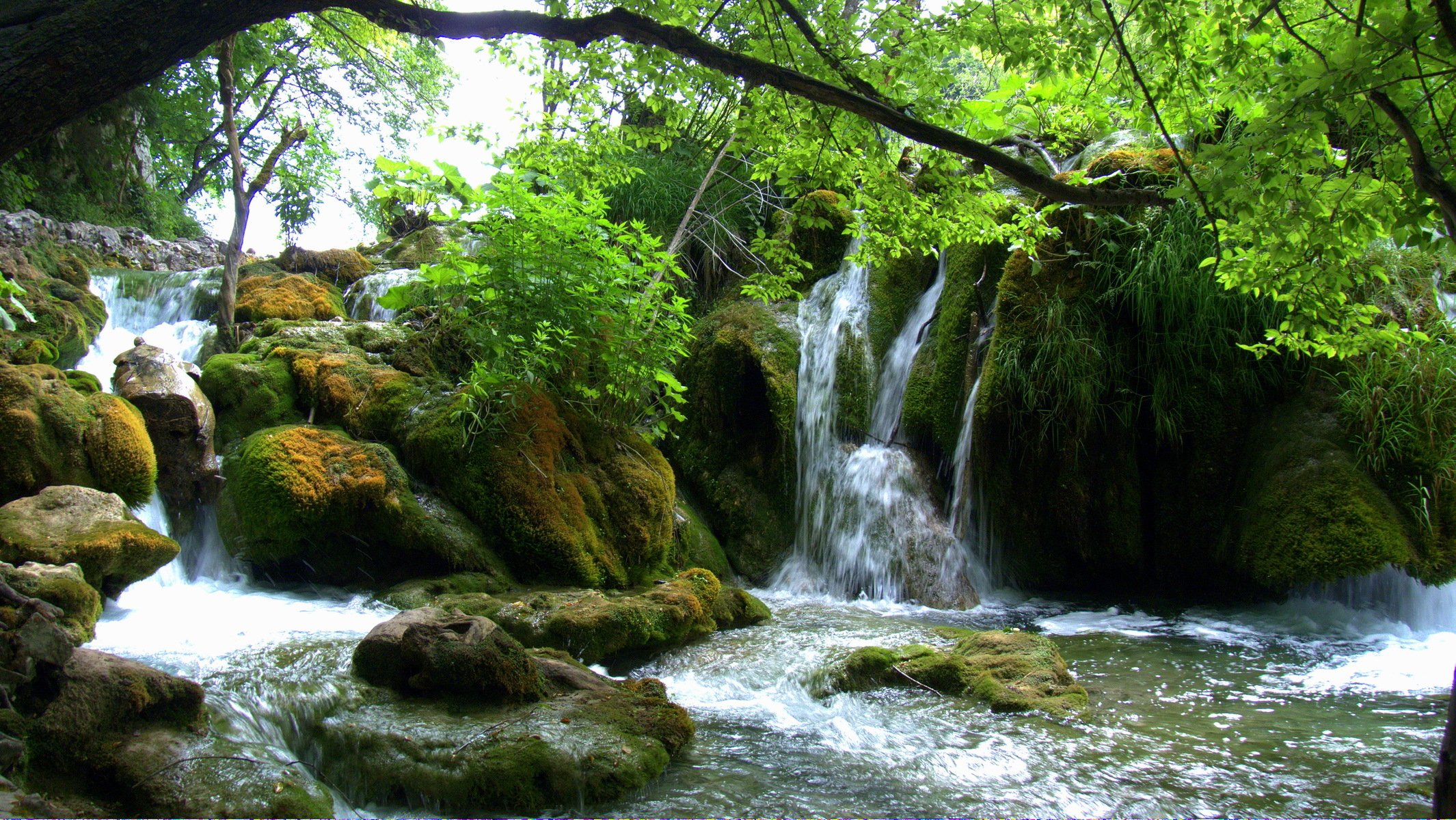 cascate laghi di plitvice croazia pietre muschio verde rami foglie