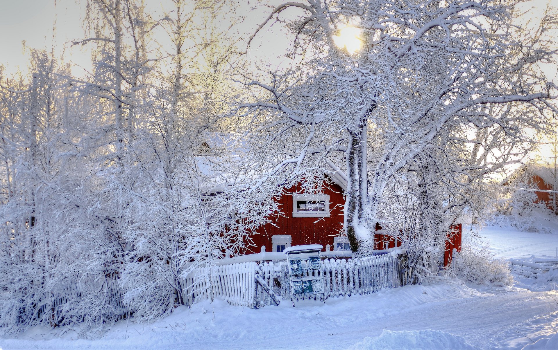 winter bäume schnee haus natur foto