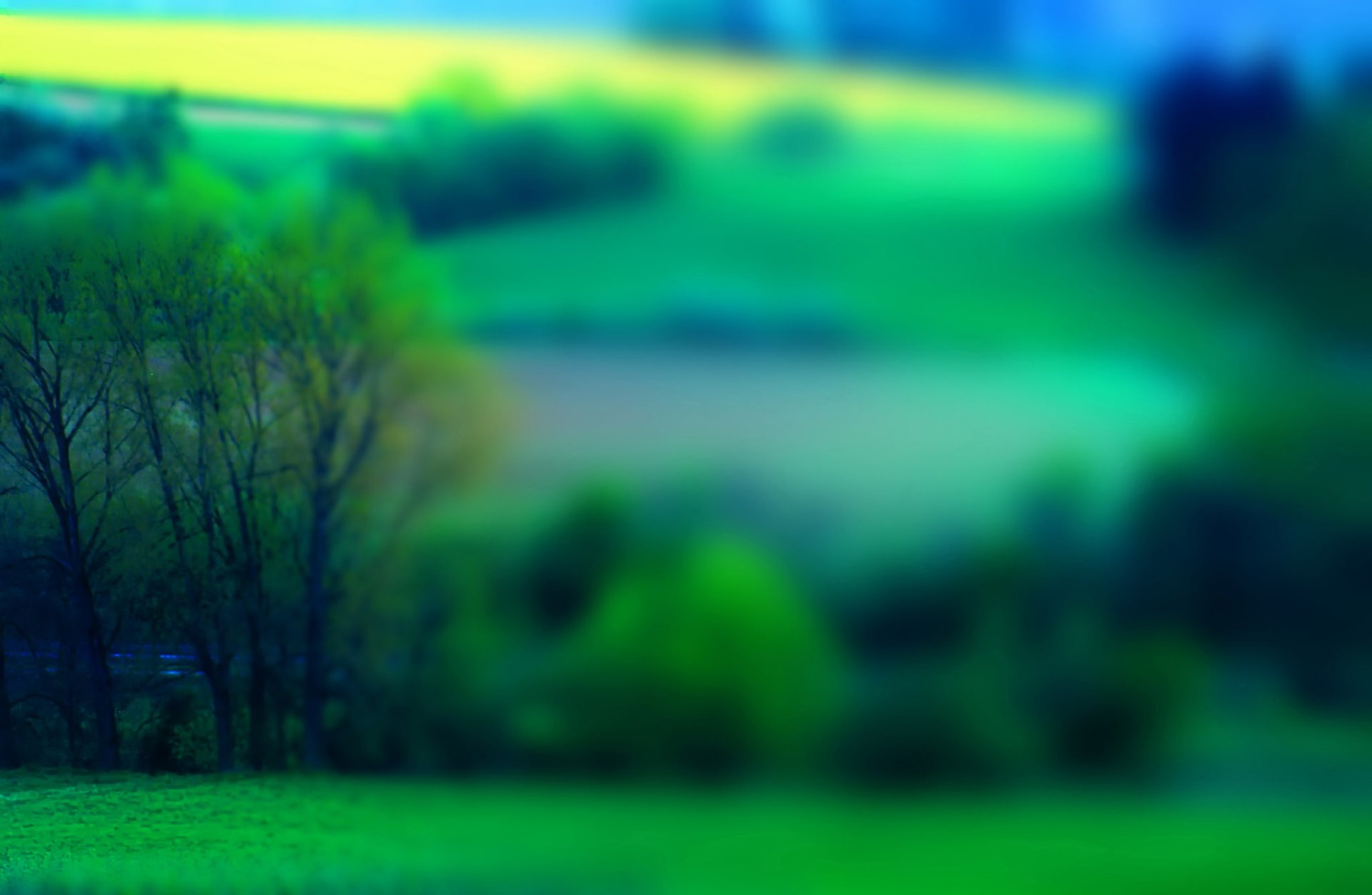 campo erba alberi paesaggio