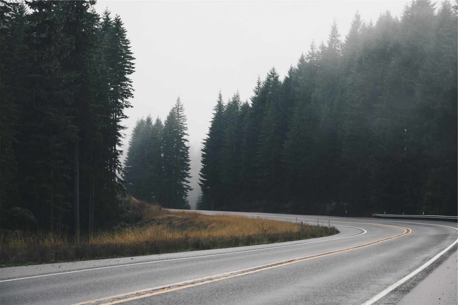 road highway highway forest spruce spruce asphalt