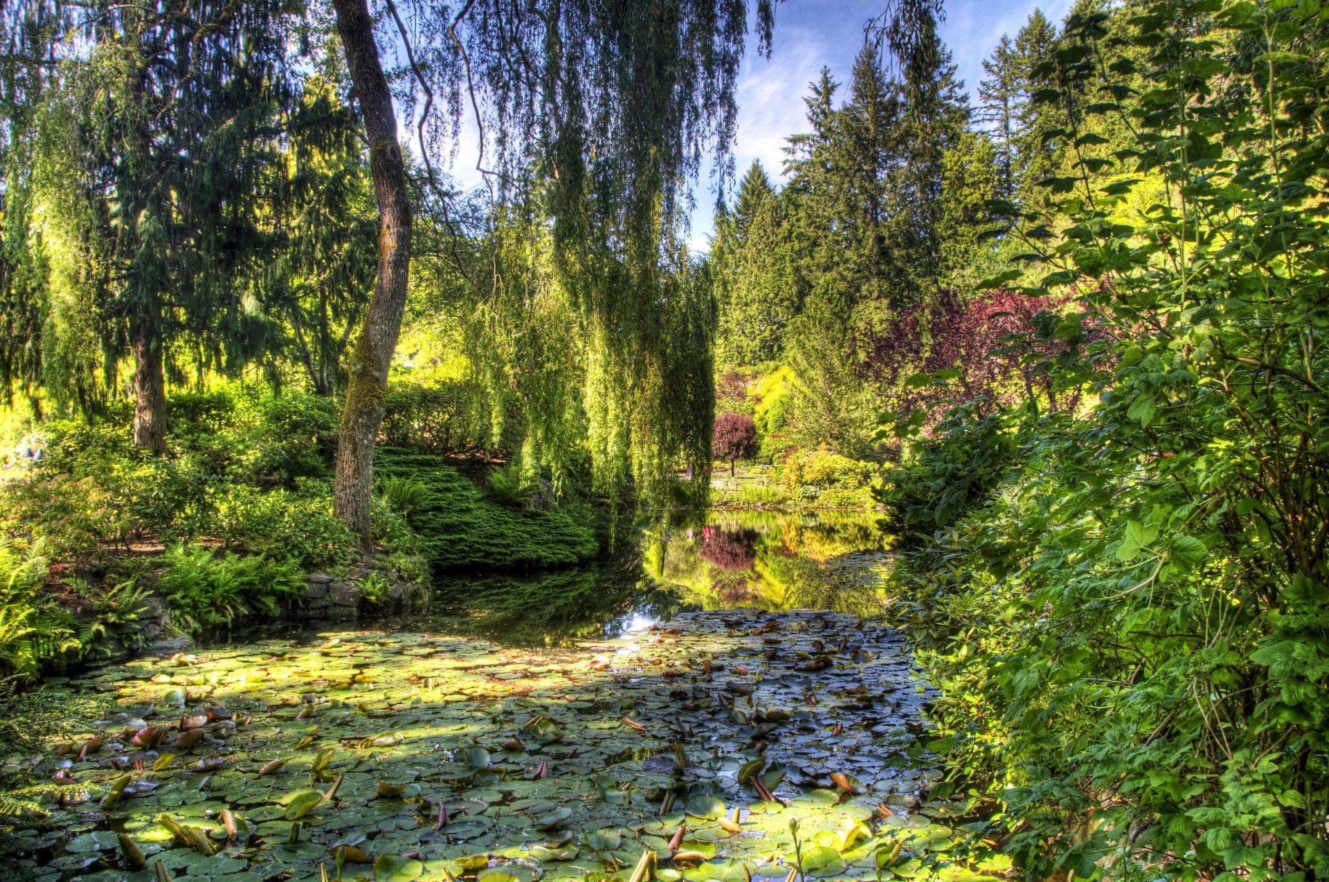 canada giardini di butchart victoria giardino stagno verde cespugli alberi