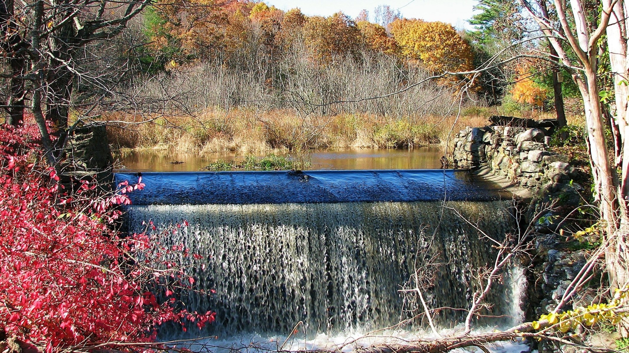 ciel rivière cascade barrage automne feuilles arbres pourpre forêt