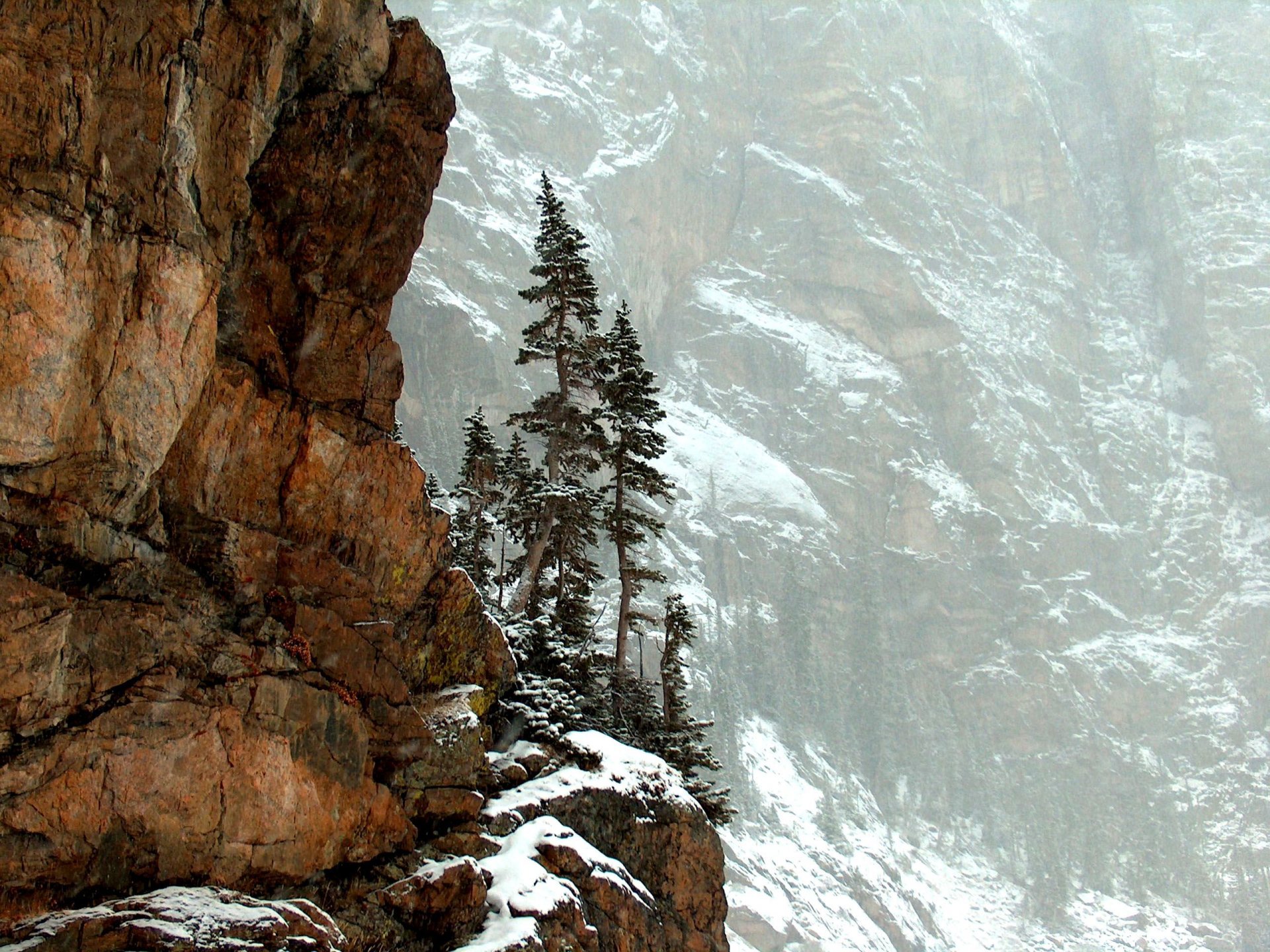 montagnes roches arbres nature parc national des montagnes rocheuses colorado