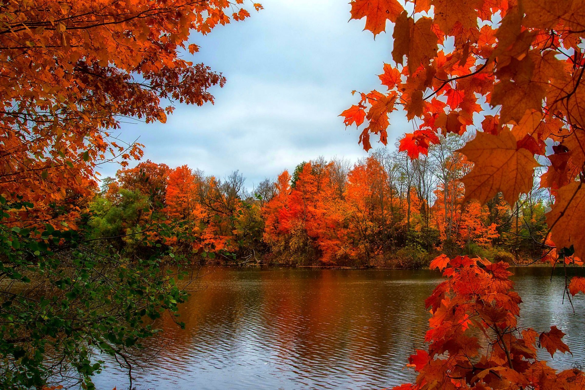 otoño río árboles naturaleza