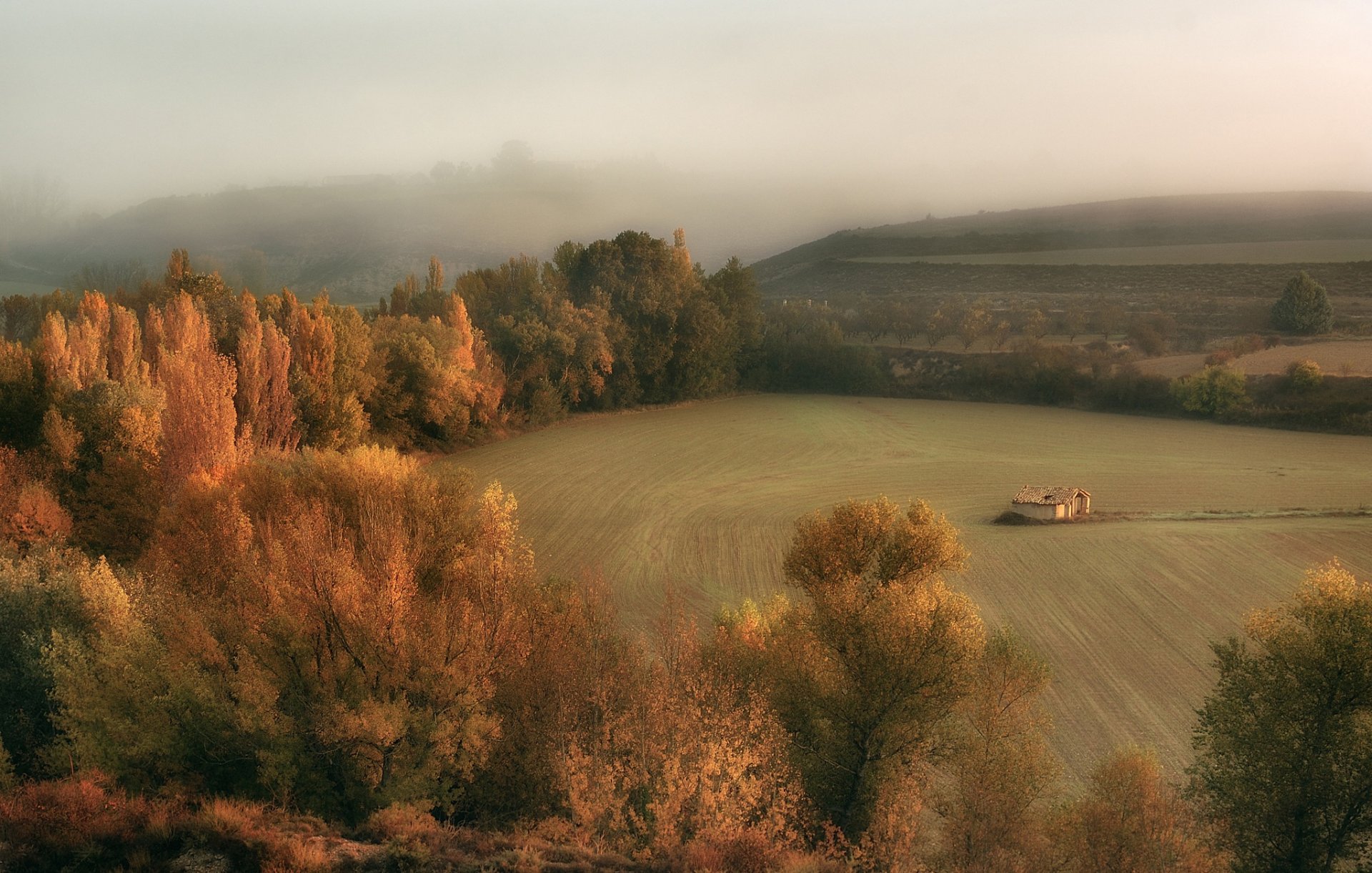 la cabaña otoño campo neblina