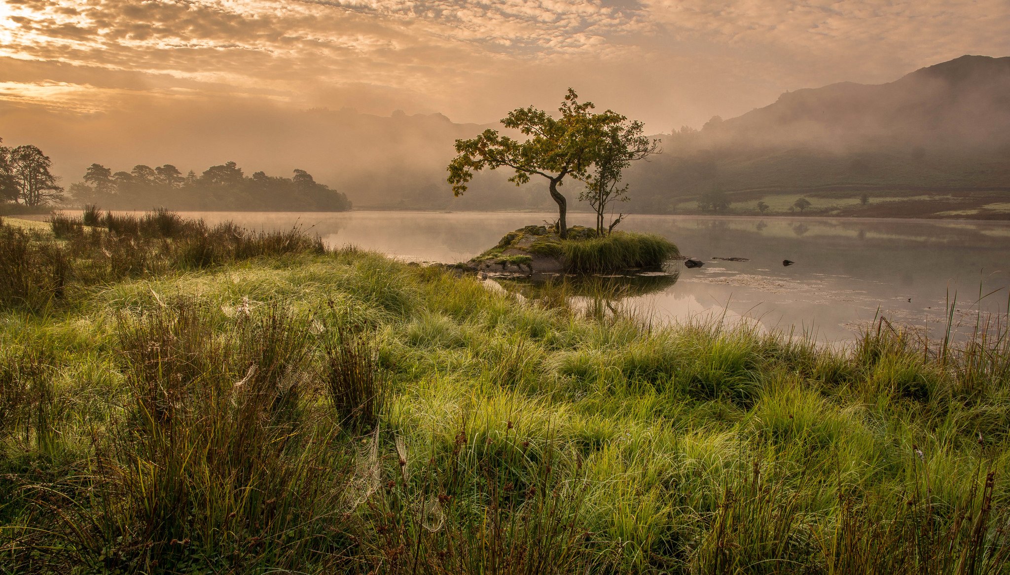 inghilterra lago mattina erba montagne alberi nebbia