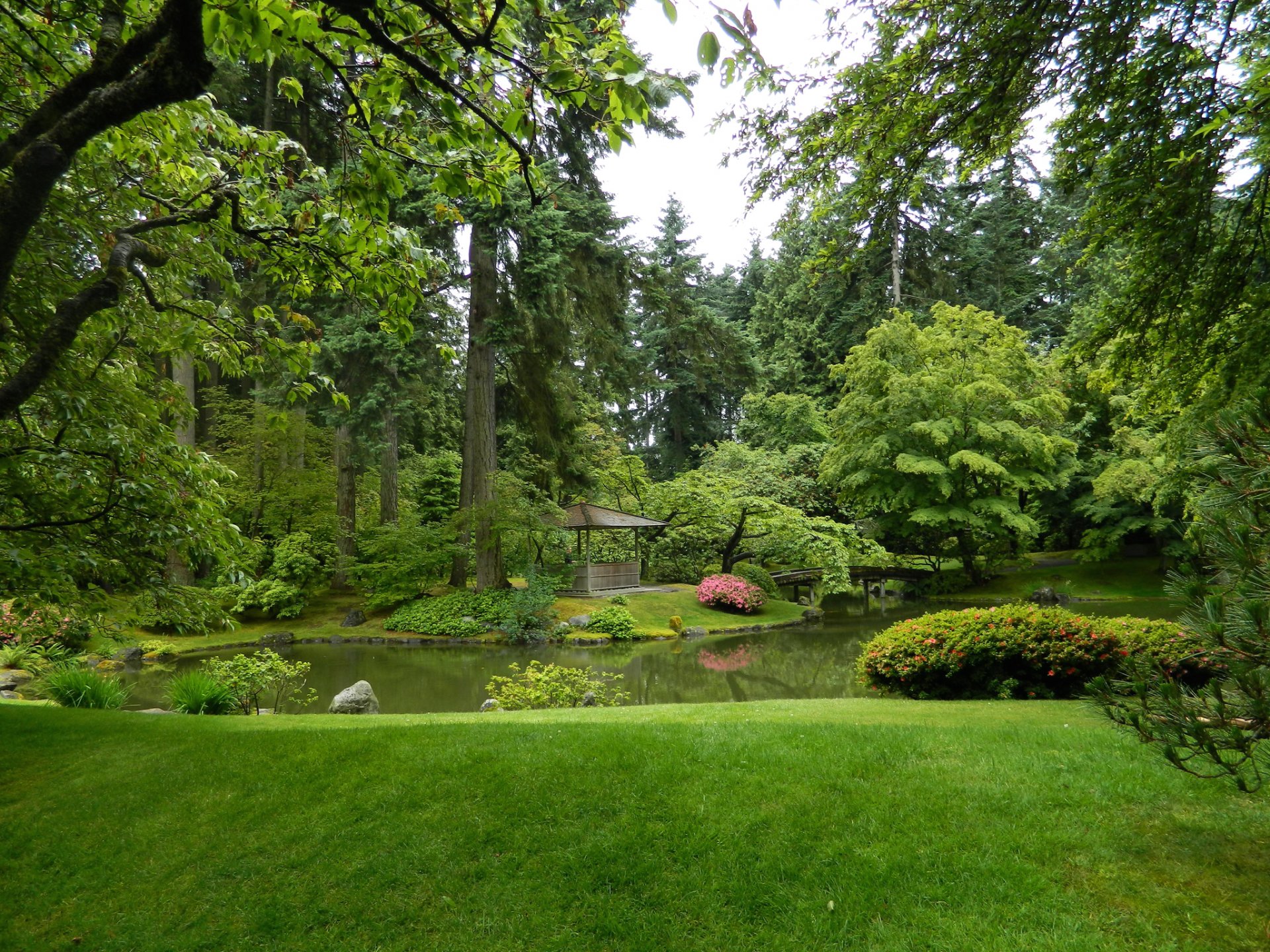 kanada nitobe garten vancouver garten teich laube gras büsche bäume grüns