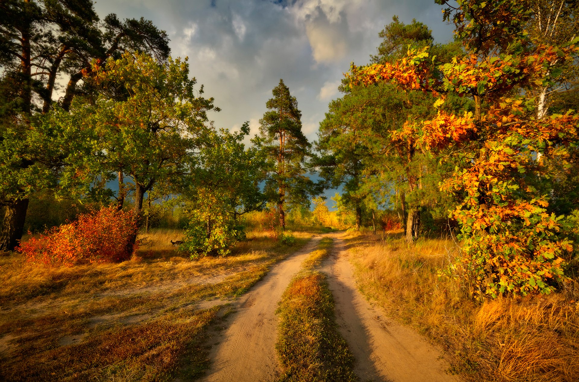 peintures d automne route arbres