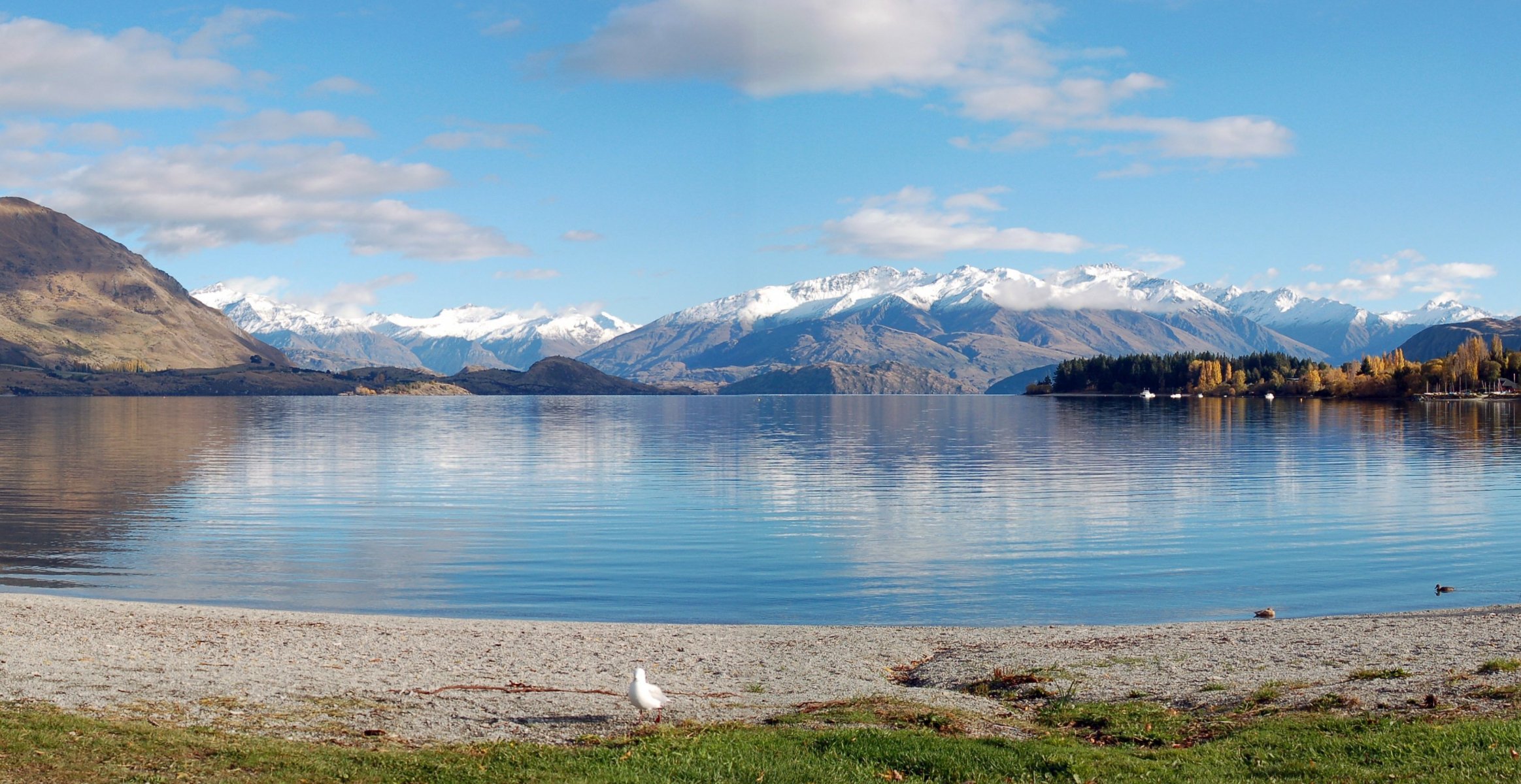 jezioro brzeg góry nowa zelandia jezioro wanaka panoramiczny