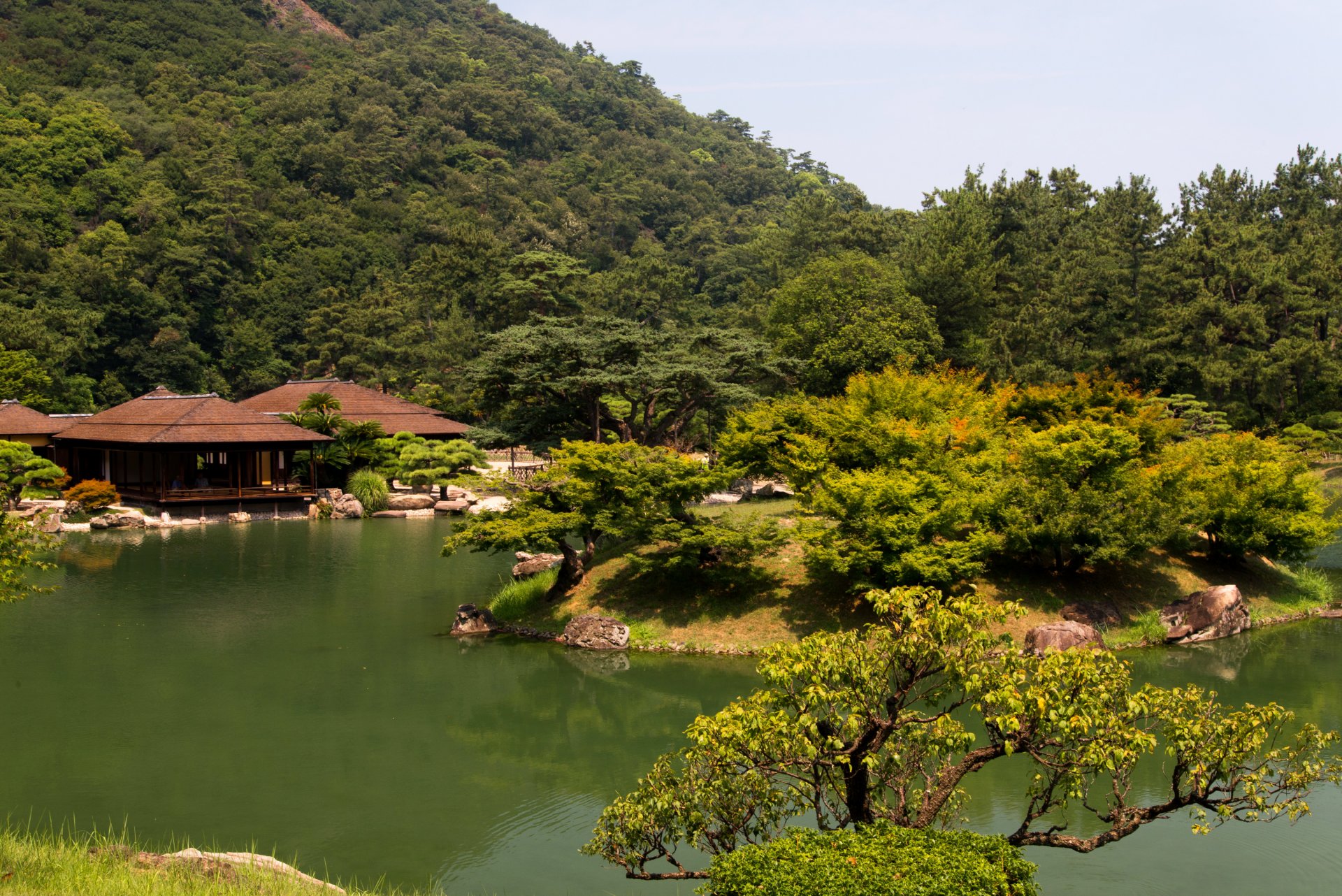 japonia park takamatsu ritsurin ogród staw krzewy drzewa zieleń altany