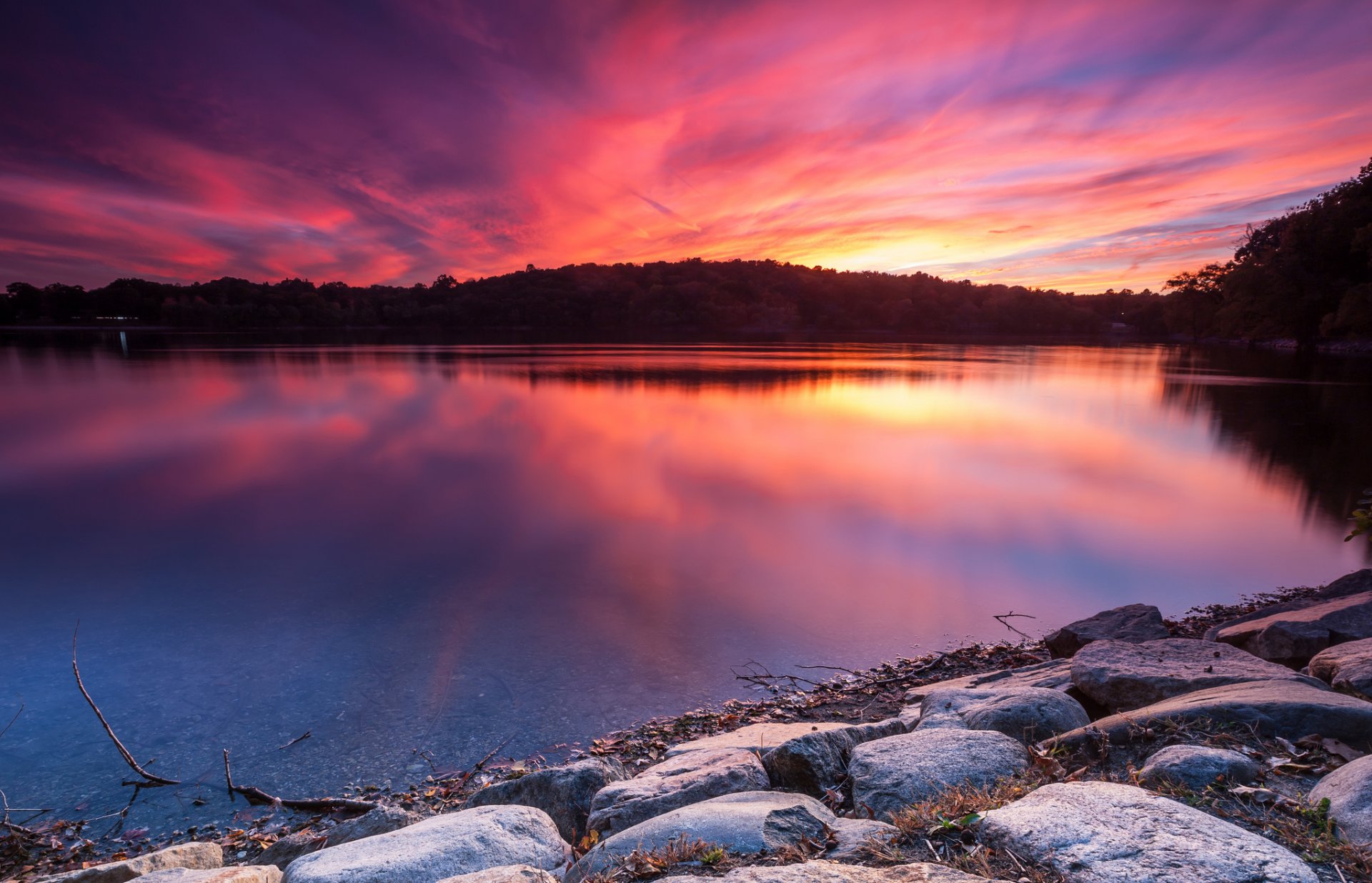 lake nature landscape beach dawn