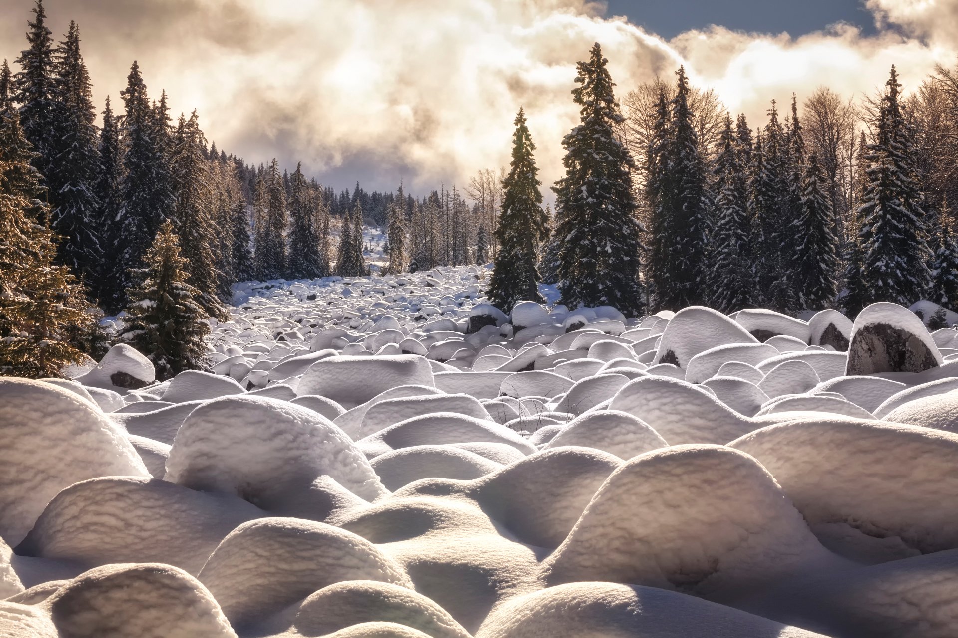 winterkaskade bäume schnee