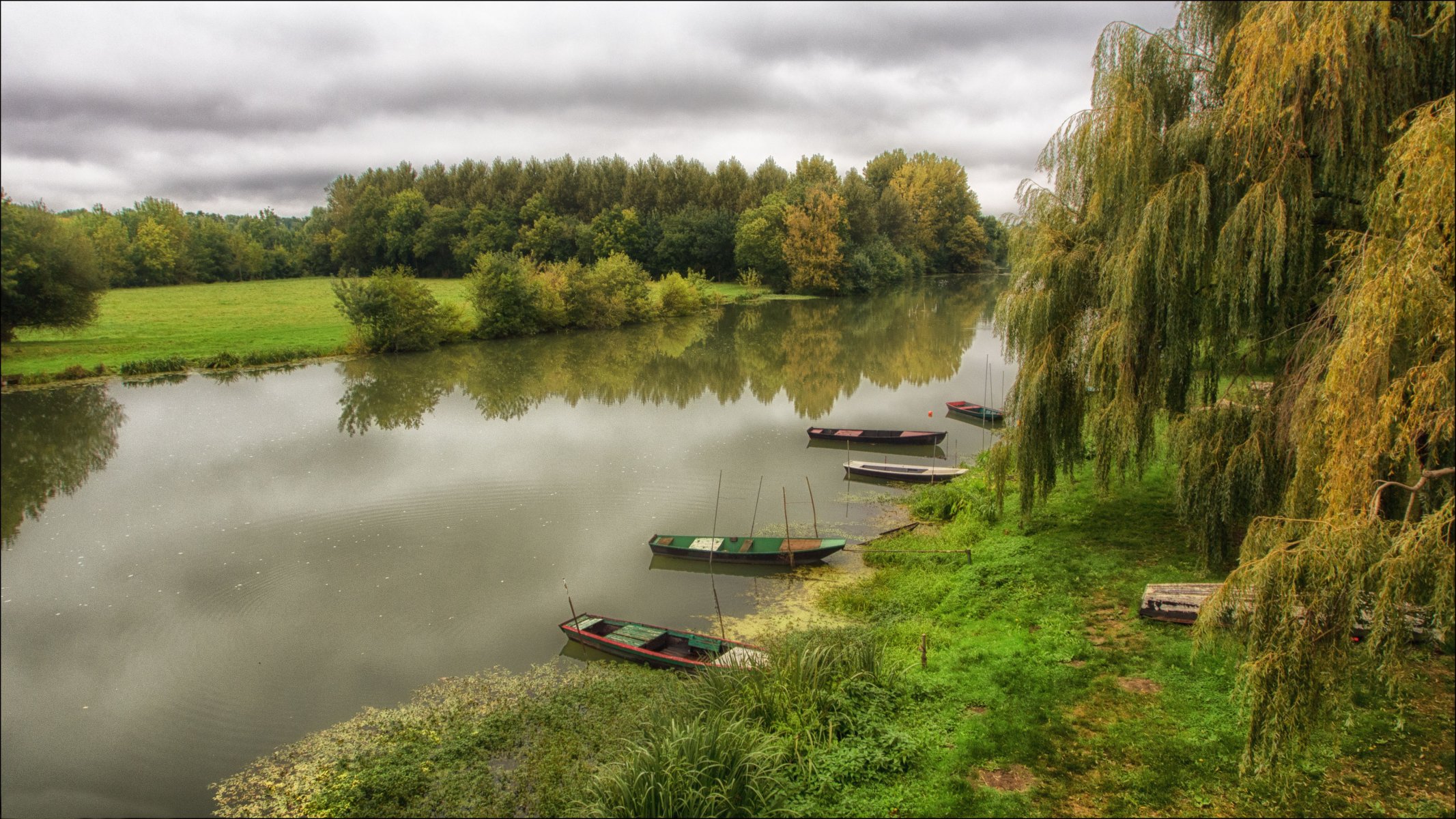 río barcos orillas hierba sauces árboles