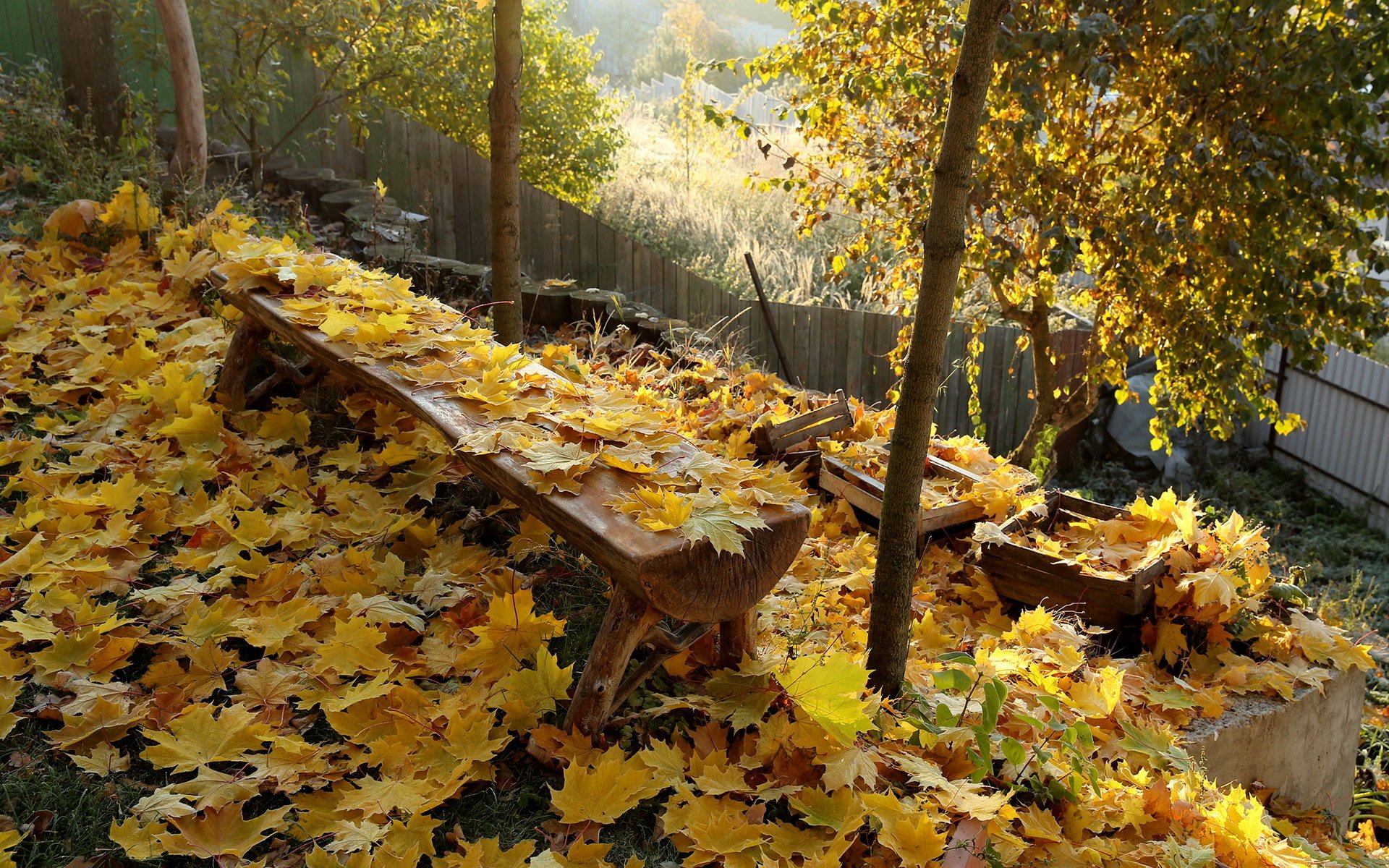 autumn bench leave