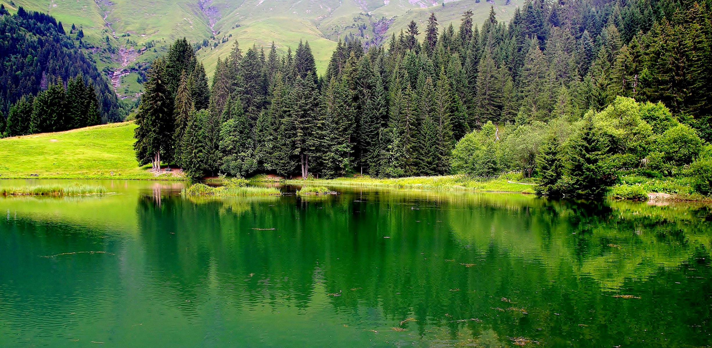 frankreich haute savoie see bäume berge gras