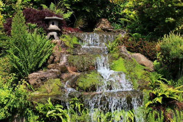 Petite cascade dans un jardin verdoyant