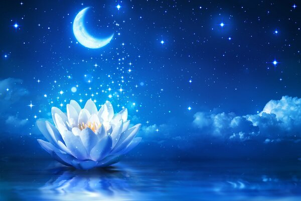 A shining lotus in the water against the background of the moon