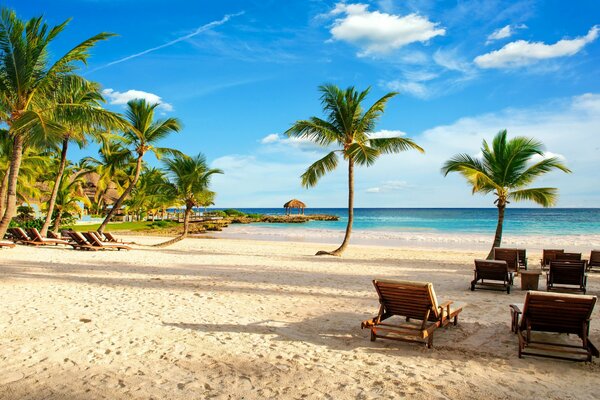 Vacation in the tropics. Sea and palm trees