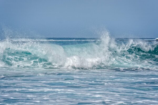 Vague océanique au large des côtes de Maui