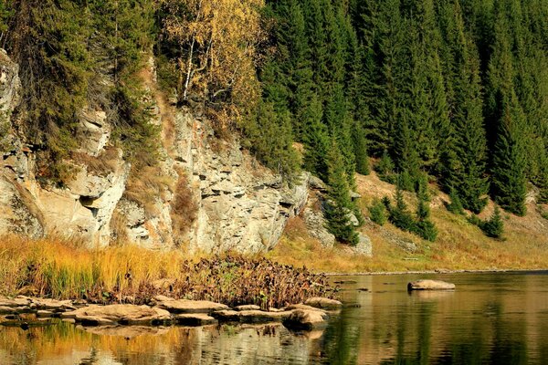 Деревья, река, скалы, камни осенью в России, пермский край