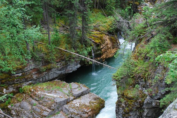 Felsige Stromschnellen mit Bäumen im Wald vor dem Hintergrund des Flusses