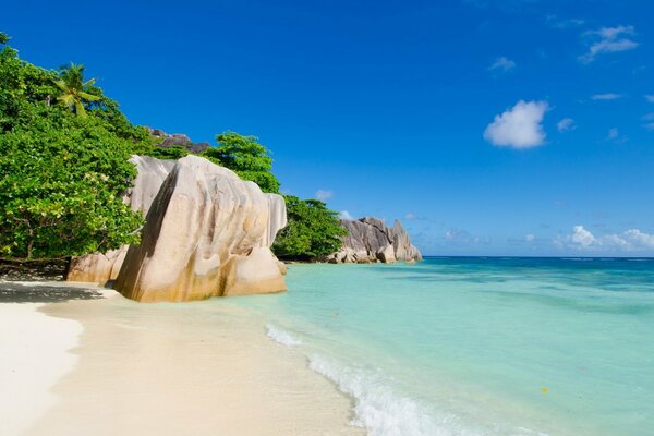 Das Meer. Oase. Felsen. Tropen