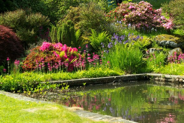 Il Giardino e lo stagno di Mount Pleasant nel Regno Unito