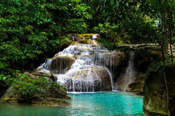 Forest waterfall. Clear water