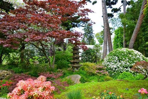 Jardins japonais à Paris parmi les fleurs, les buissons et les arbres