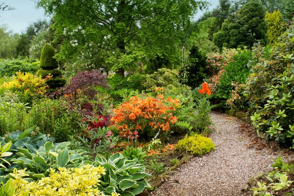 Camino en el Jardín floreciente de gran Bretaña