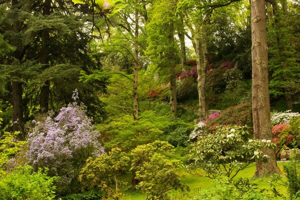 The nature of Great Britain is very picturesque