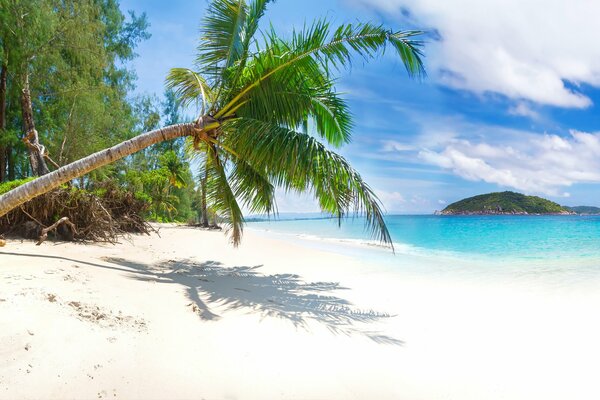 Le sable blanc et la mer sont un délice paradisiaque