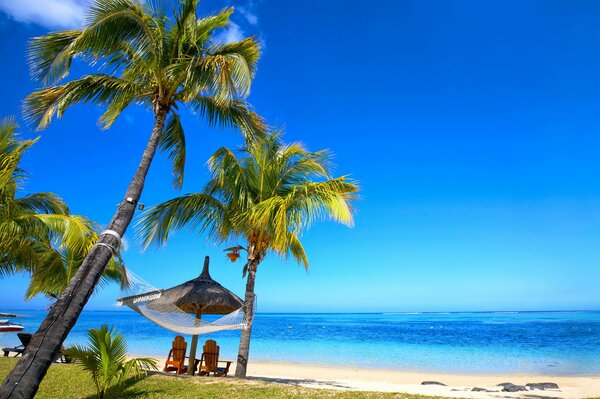 A corner of paradise. Hammock on the beach