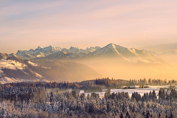 Bosque de invierno y montañas