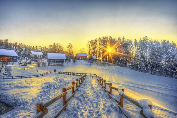 Wintermorgen. Der Weg ins Dorf