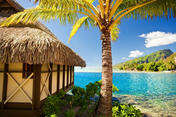 Vacances tropicales. Cabane sur le rivage. Vacances d été à la plage