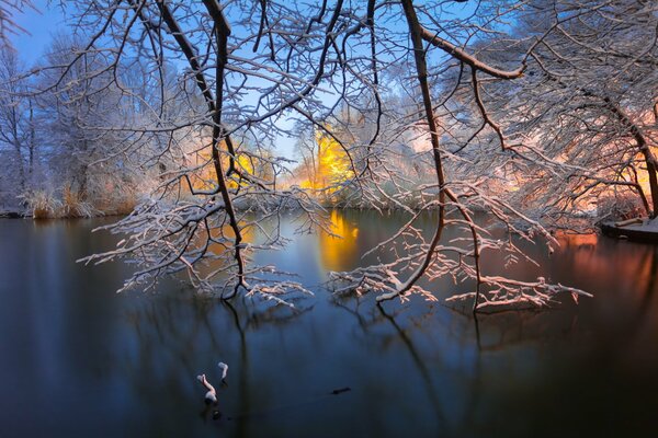 Winter Lake in Brooklyn, New York