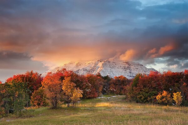 Una cordillera en las nubes y rodeada de follaje de otoño